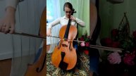 Венгерская рапсодия