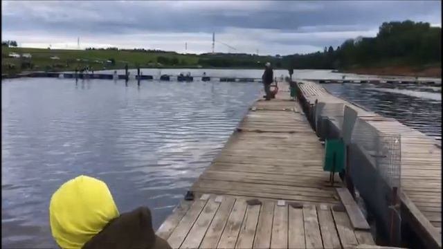 Форель и остер с 1 сектора! Клевое место, д. Савельево