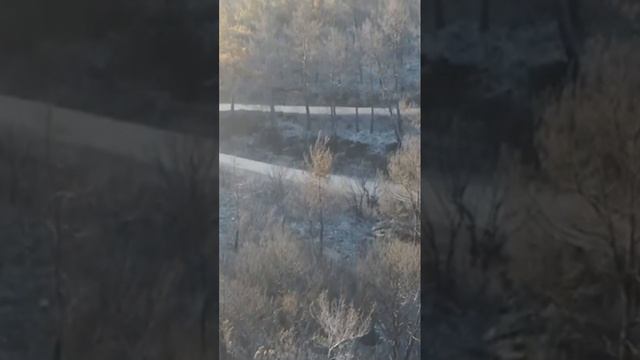 🇹🇷350 гектаров леса сгорели в турецком городе Измир.Пожар начался 29 июня в районе Памучак.