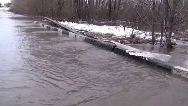 Мои стихи - Солнечный день.