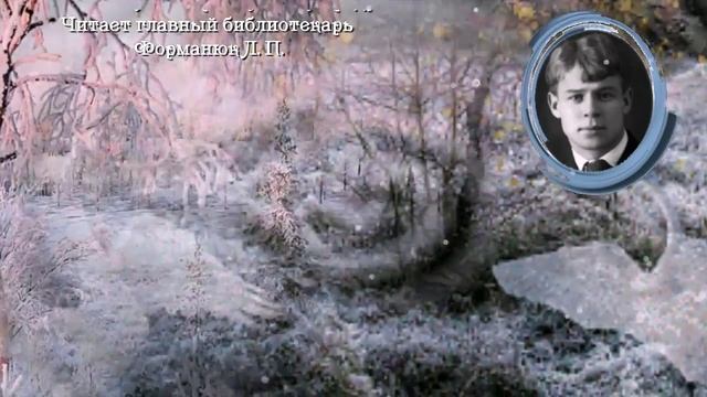 Страна читающая - Л. П. Форманюк читает произведение С. Есенина  Я по первому снегу бреду...