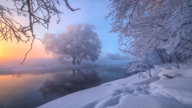 Зимняя сказка.Winter Fairy Tale. Fabulous Forest. The Feeling Of An Approaching Holiday.