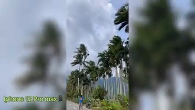 Battle kamera Iphone Xr VS Iphone 12 pro max ! abang adik di laga di Alam bebas!