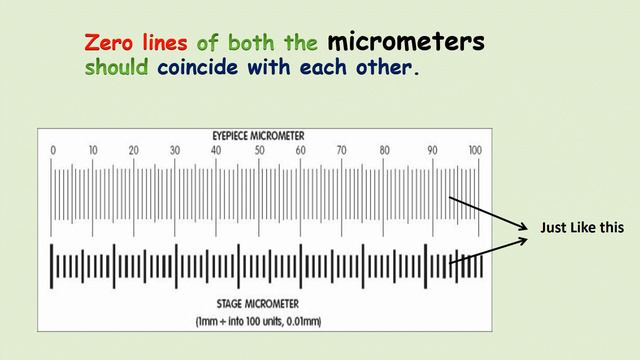 Micrometry In Microbiology [short and easy]