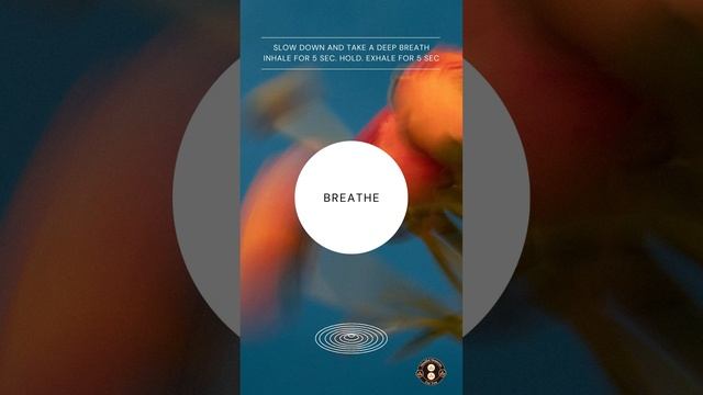 Aesthetic Calming Meditation Breath Exercise