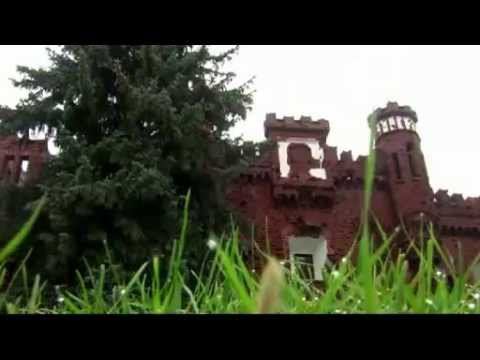 Беловежская пуща