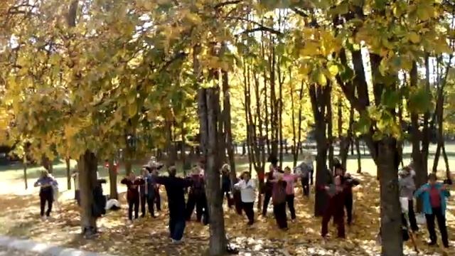 Занятия Цигун Пятигорск 14 октября 2017