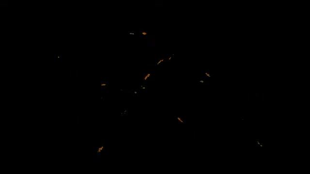 Slow Music 7