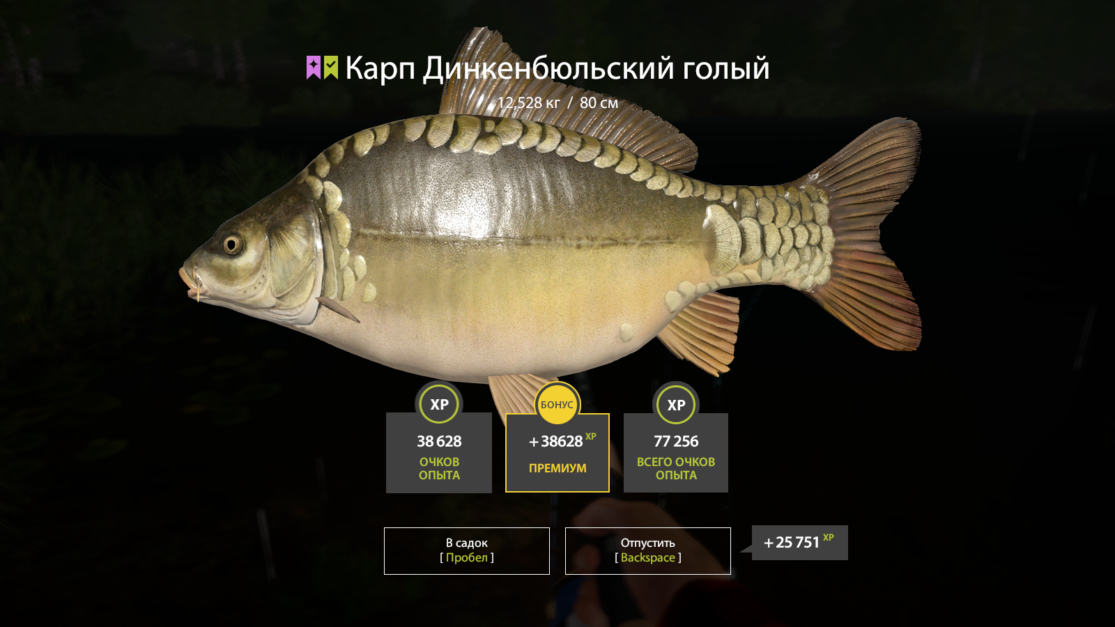 Русская рыбалка4