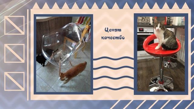 Отзывы клиентов о мебели BarneoPro  оригинальные фото
