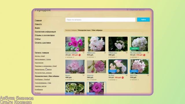 Создание интернет магазина на платформе Nethouse. Азбука бизнеса Ольги Косенко