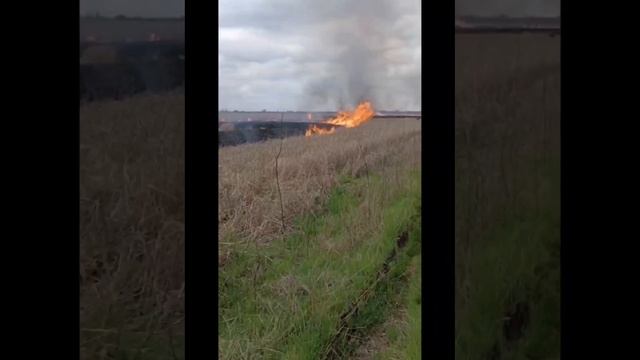 Бойцы отряда Барс сжигают поле для обнаружения мин, установленных противником.