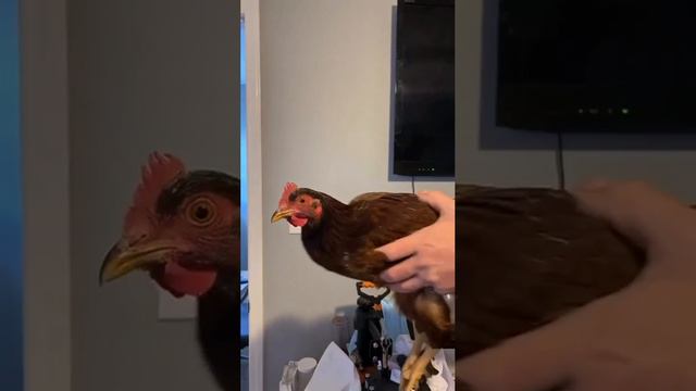 стабилизация
