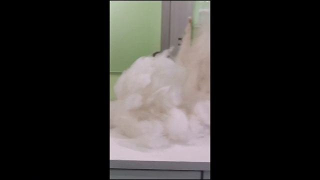 Мальчик Джоник.Стрижка.