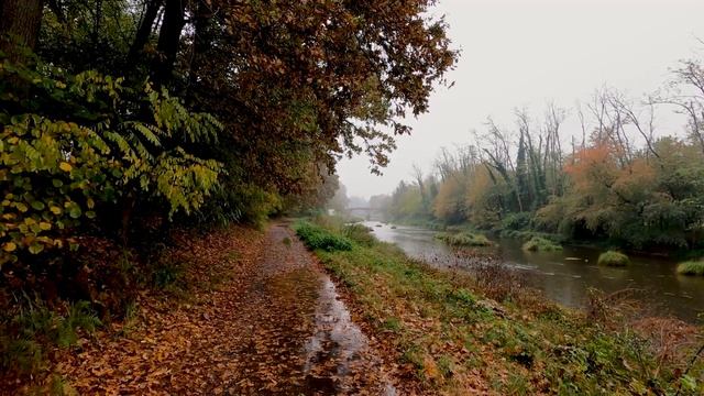 Звук дождя и грома. Идеально для сна и спокойствия. Relax music
