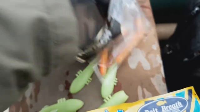 Бешеный клев судака,на сьедобную резину.
