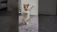 1000077841.mp4