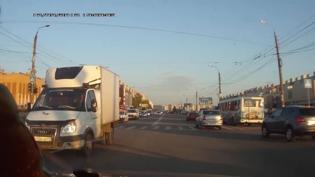 Газель попрыгушка