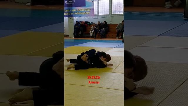 Чемпионат по джиу джитсу