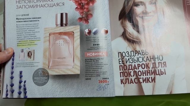Обзор каталога 17
