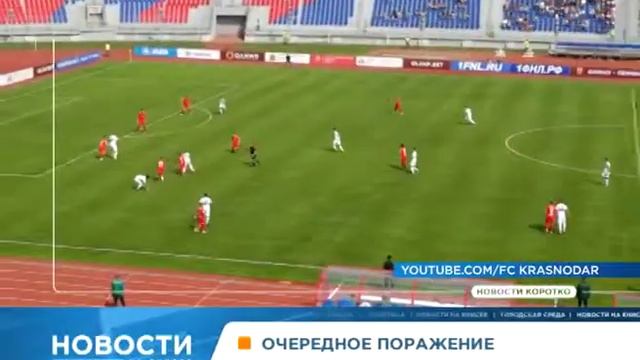Наглый бурый медведь и перекрытия в Красноярске: короткие новости понедельника