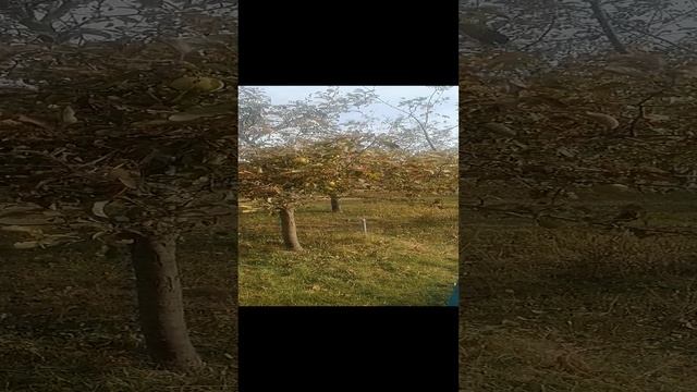 осень в краснодарском крае 2023
