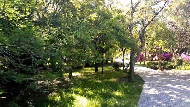 ✦УТРО НА МОРЕ.ПАРК.УЛ ПАВЛОВА ЛАЗАРЕВСКОЕ 15.05.2019