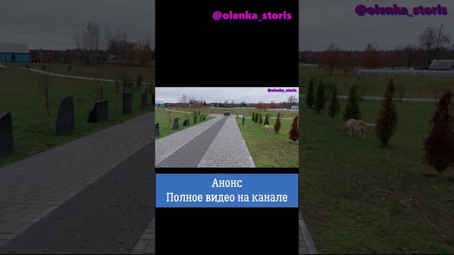 Мемориальный комплекс в д.Борки / #анонс #shorts