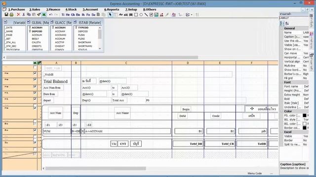 Report trial balance to excel 01