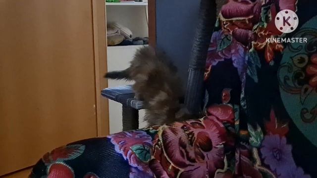 У нас в семье Пополнение/Маленькая радость)
