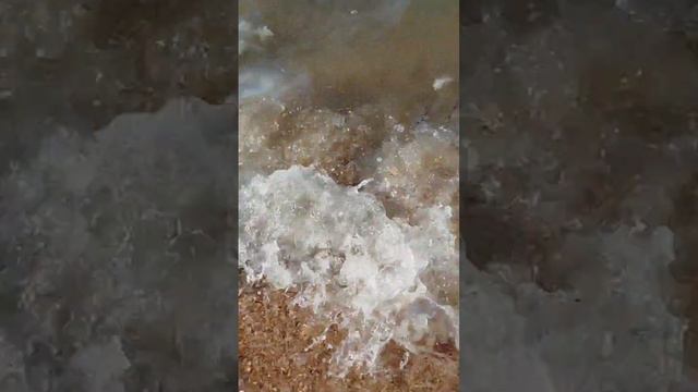 Гигантские медузы захватили море у берегов Тамани