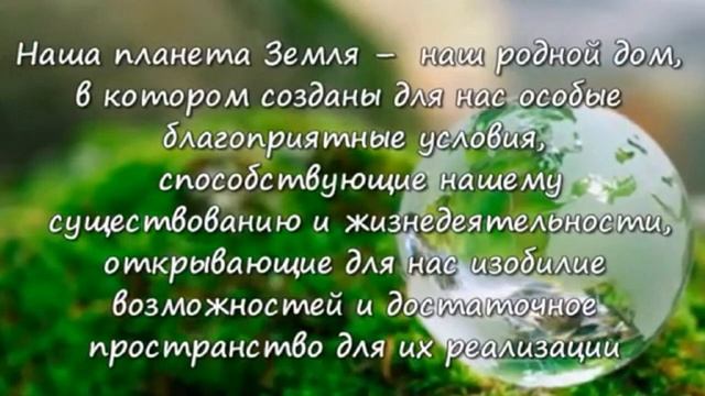 Международному Дню защиты животных посвящается.О братьях меньших