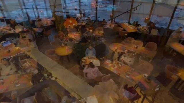 Гастропаб Коза Дереза в Санкт-Петербурге. Gastropub Koza Dereza