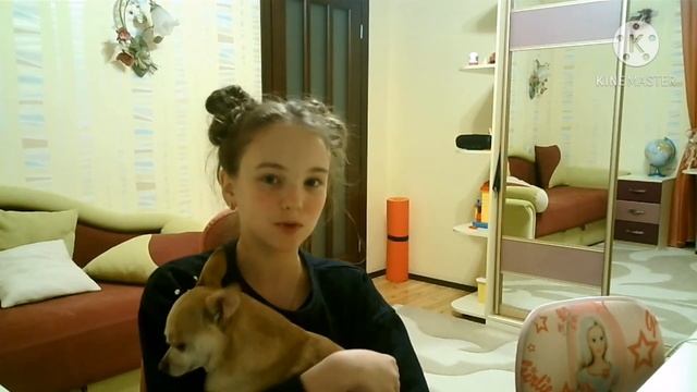 Мое домашнее животное