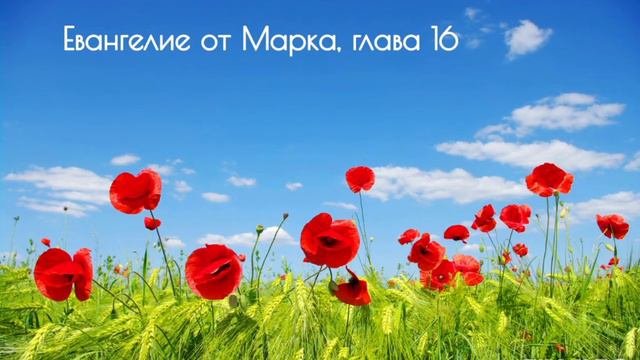 Евангелие от Марка, глава 16
