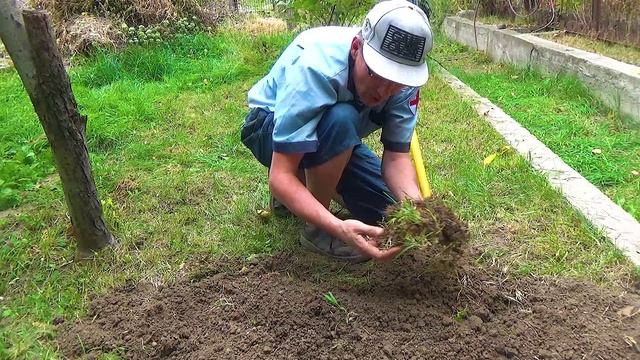 6 Всё равно это фиолетовый Алмаз (2).mp4