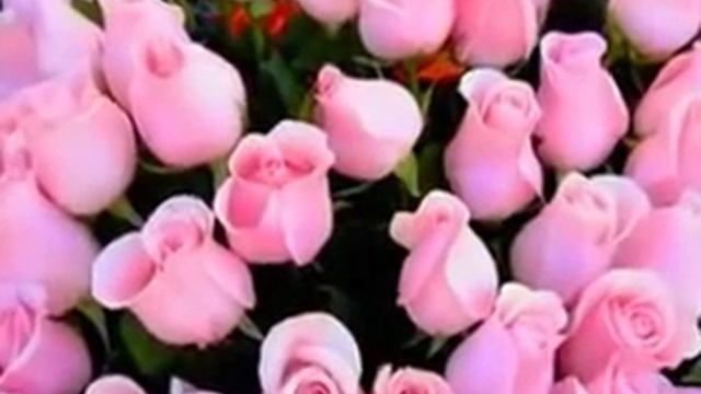Музыкальное поздравление  С Днём Рождения! Настя !