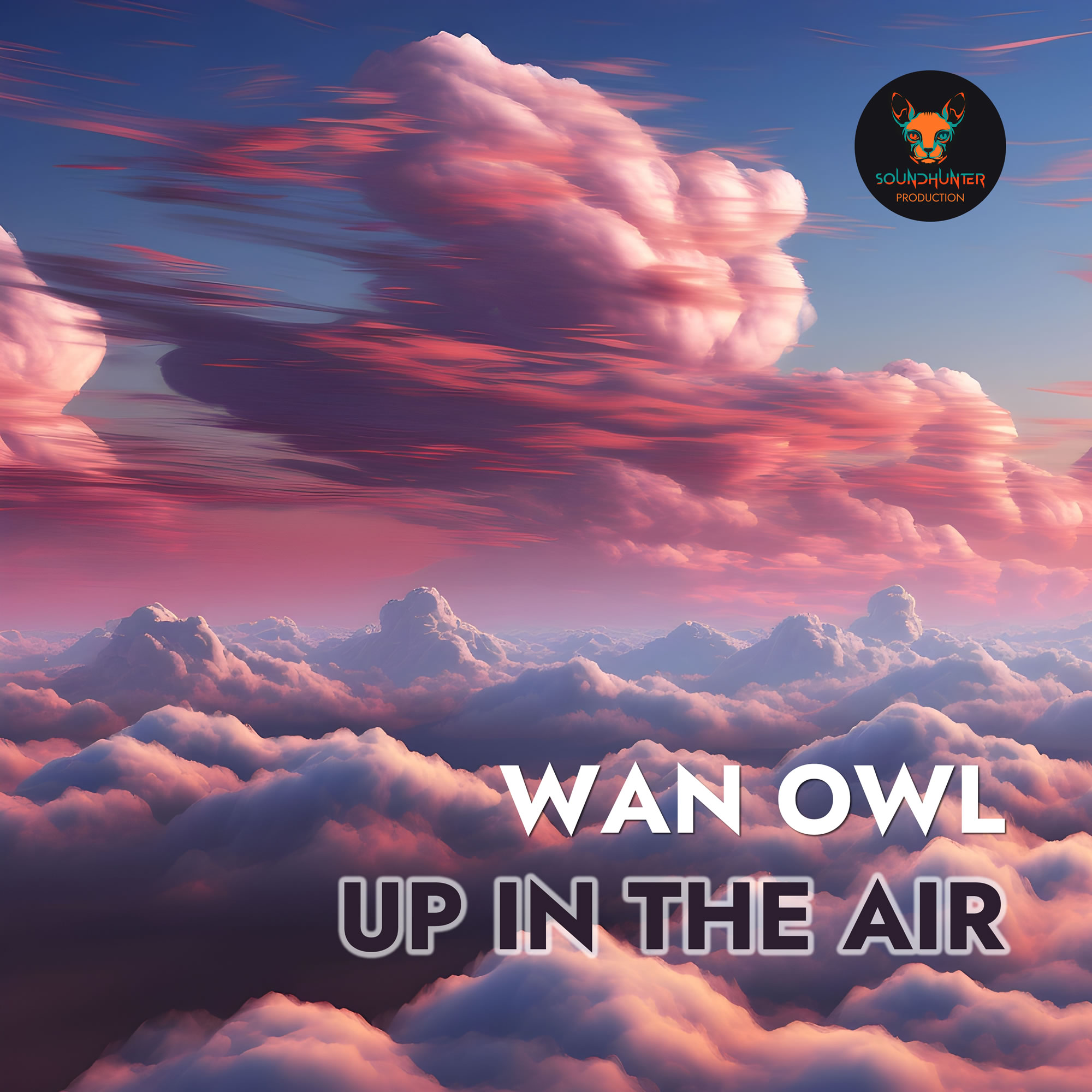 Wan Owl - Up in the Air