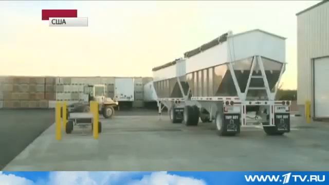 63 тонны грецких орехов украли со склада