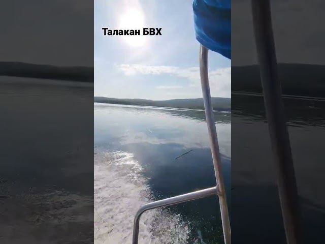 Бурейское водохранилище#travel #beautiful #fishing
