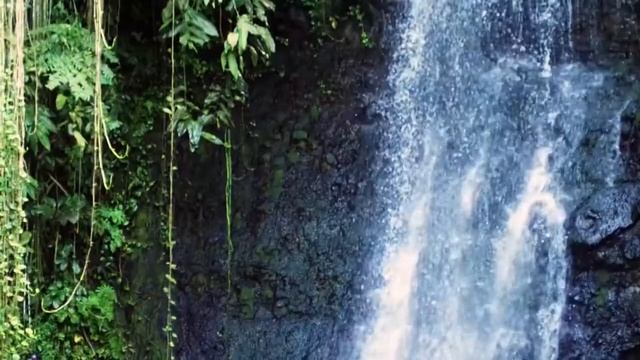 Купить косметика Нони Серия TeMana Моринда Россия