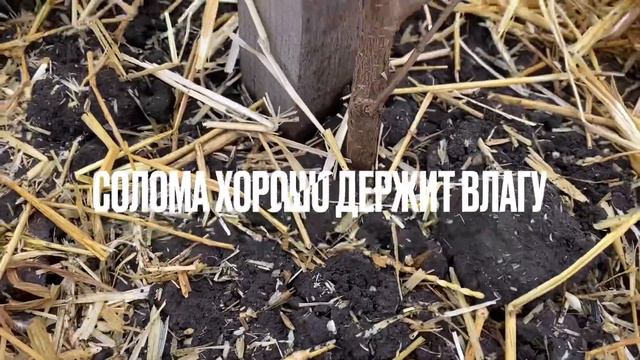 Утепляем фундук перед морозами