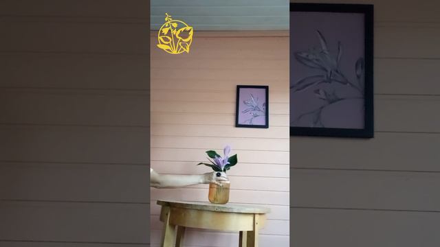 1000187354.mp4