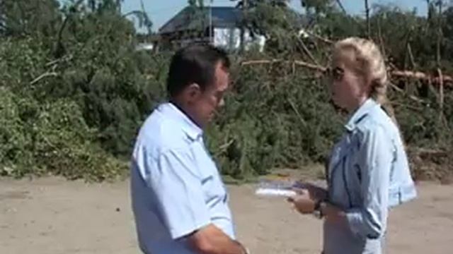 Незаконно вырубили деревья