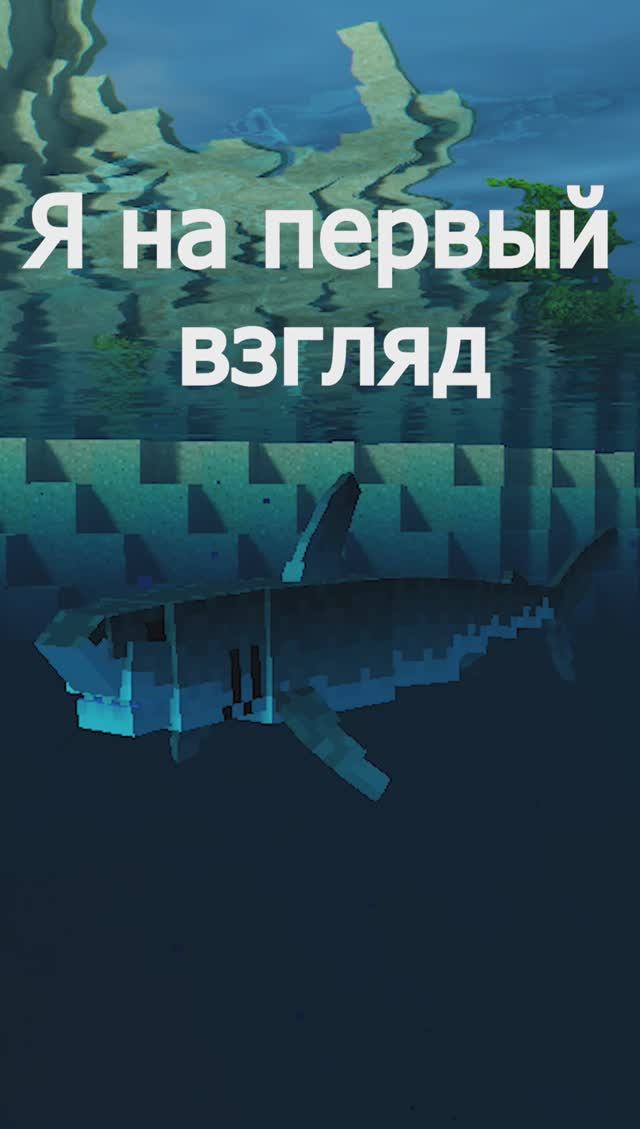 Я на первый взгляд и я, если узнать меня получше