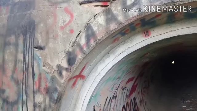 Проверяем краску Ермак