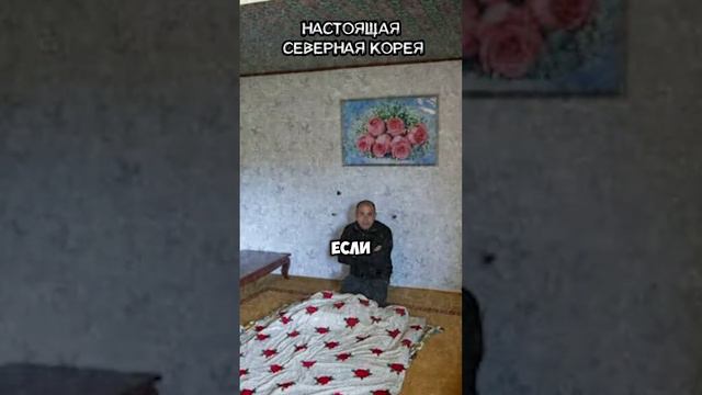 Настоящая Северная Корея, которую я увидел. Город Вонсан 😱🫣 #севернаякорея #кндр #пхеньян #кимченын