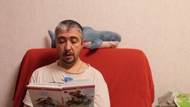 Сказки для детей Читаем сказку Сказка на ночь про Ежа