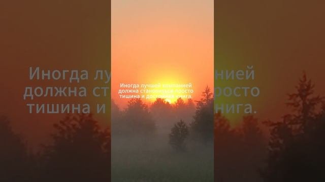 Цитата