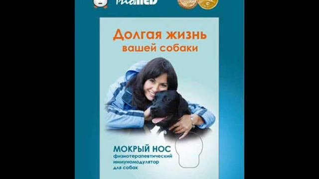 Мокрый нос